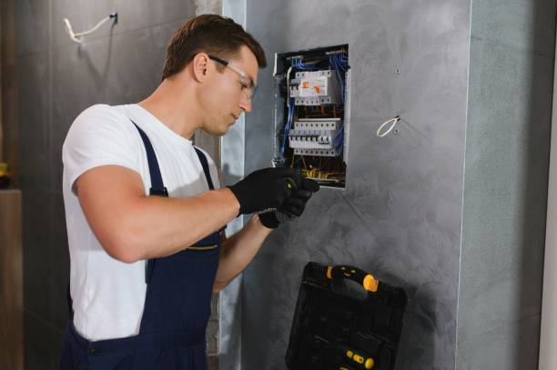 Best Electric Panel Repair  in Woodruff, SC